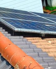 Thomas Veh - Schädlingsbekämpfung Bild 1