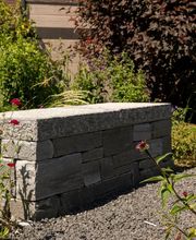 Artenreich Bolinger Gärten AG Bild 7