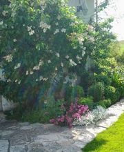 Brunner Paysagiste Bild 9