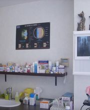 Joubert Patricia image 3