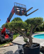 Les Jardins de la Méditerranée image 2