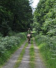 Les Sabots de Villecartier image 14