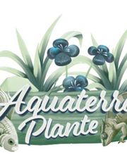 Aquaterra Plante image 1