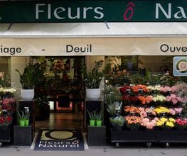 Fleurs Ô Naturel image 2