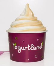 Yogurtland Milpitas image 2