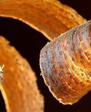 Au Copeau Savoyard image 1