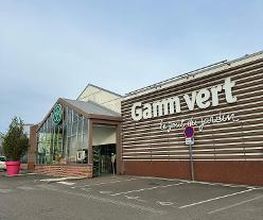 GAMM VERT image 1