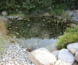 Art & Giardini Sagl Bild 8