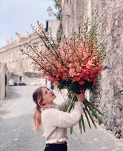 Fleuriot Manor Chavannes Bild 2