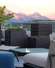 Züst Grüngestaltung GmbH Bild 11