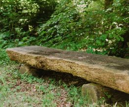 Bänke an den Waldwegen im FriedWald Hegau laden zum Verweilen ein.