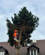 Forst- und Gartenservice Roller Bild 10