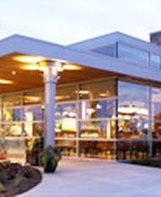 The Patio - Lombard image 13