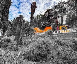 Sector Arbol imagen 10