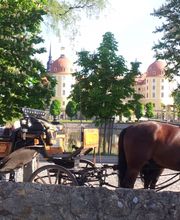 Schloss-Teichhaus Bild 1