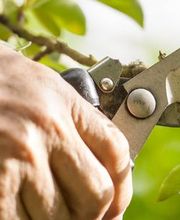 Festl & Kinshofer e.K. Bild 2