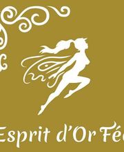 Esprit d'Or Fée image 1