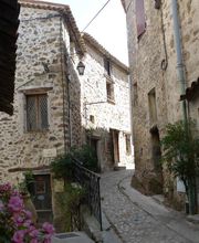 Meyer-Mazel Aurelie image 3