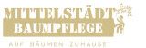 Mittelstädt Baumpflege, Baumkontrolle, Baumpflege, Baumfällungen