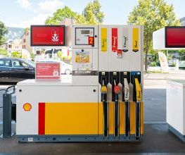 Shell Bild 2