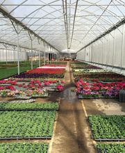 SCEA DE BEAUNE image 10