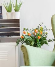 NOVA TE ASESORA imagen 12