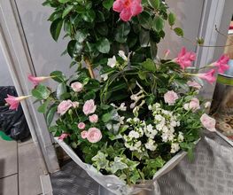 Test Fleurs image 6
