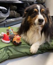 Malice Chateaulin image 12