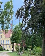 GUT STRETENSE Bild 10