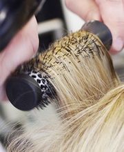 Hair Evasion image 4