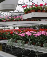 H. Gosteli AG Bild 11