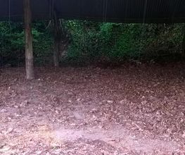 Débarras 72 image 18