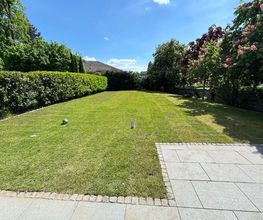 Daily Gartenpflege Bild 5