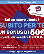 RAEE.CH SA - cambiofacile.ch Bild 1