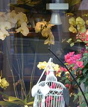 Le Jardin d'Eden image 4