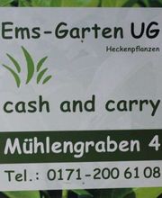 Bernhard Brand Bild 3