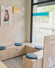 Clinica Veterinaria Animal Care Trento immagine 6