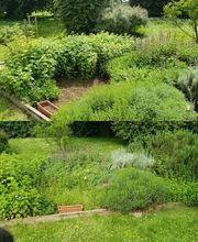 Ted Multiservices image 14