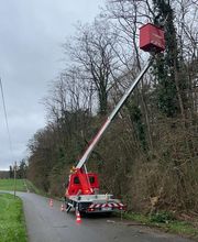 Leroy Elagage image 6