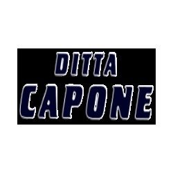 Capone Giovanni Distribuzione Gas in Bombole logo
