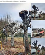 La Clé des Jardins image 10