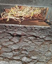 Boissonnade et Fils Ramonage image 9