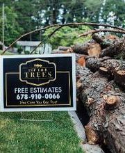 Top Tier Trees image 14