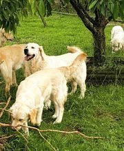 Le Domaine D'Izara image 6