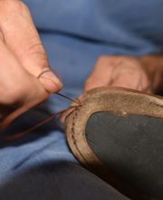 Cesa Frédéric image 8