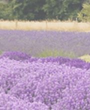 Walter & Karin Käch AG Bild 2