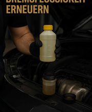 WhatsApp Image 2025-09-22 at 12.45.39 (1).jpeg