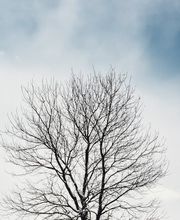 Susana García Agente de Seguros imagen 12