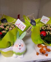 A Fleur de Rose image 1