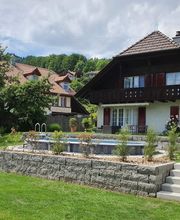 Kummer Gartenbau - Pflanzenoase Bild 11